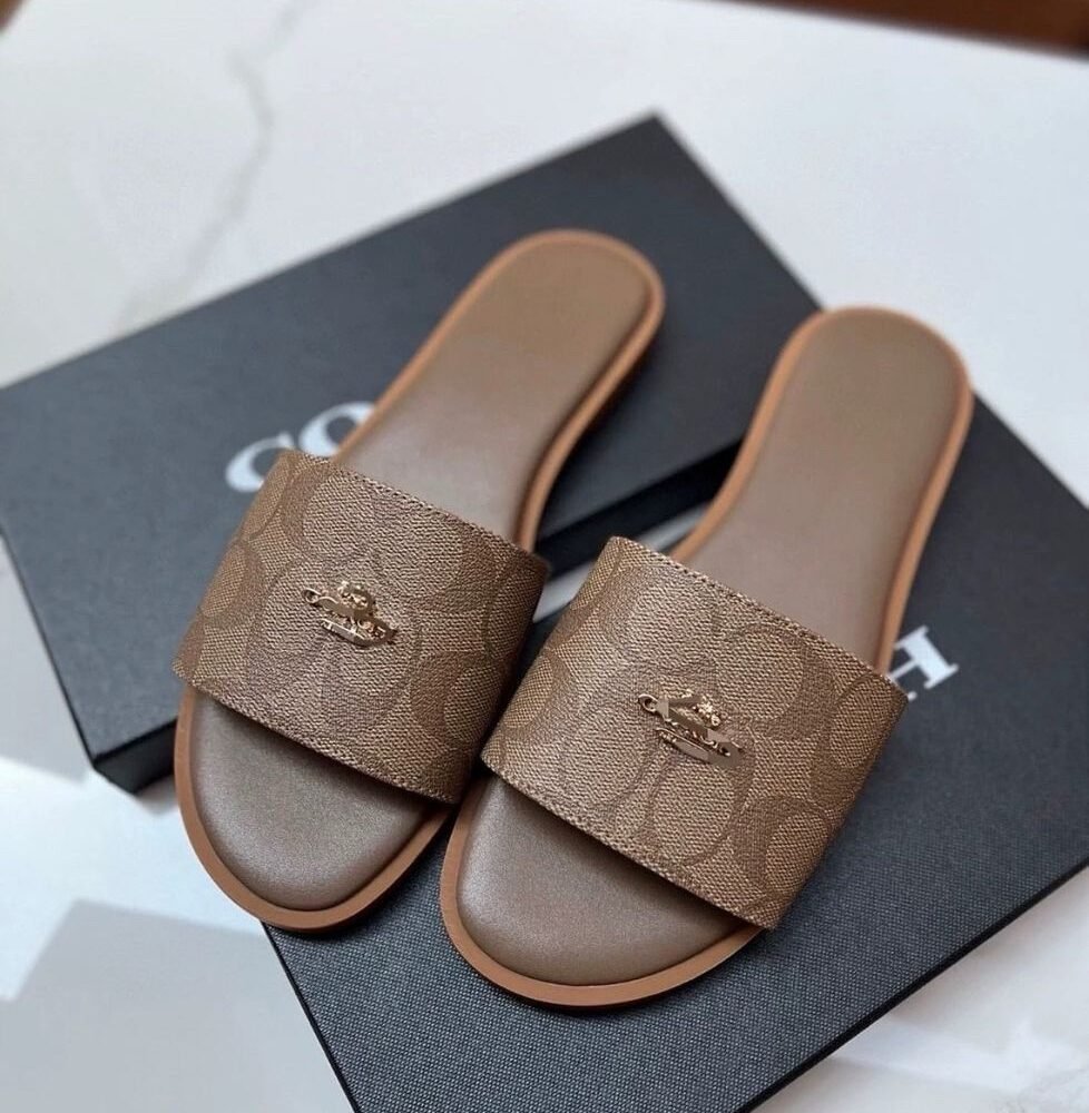 Shop Primary Image Shop Primary Image